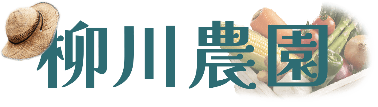 color、wordpress